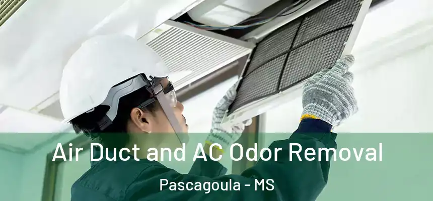 Air Duct and AC Odor Removal Pascagoula - MS