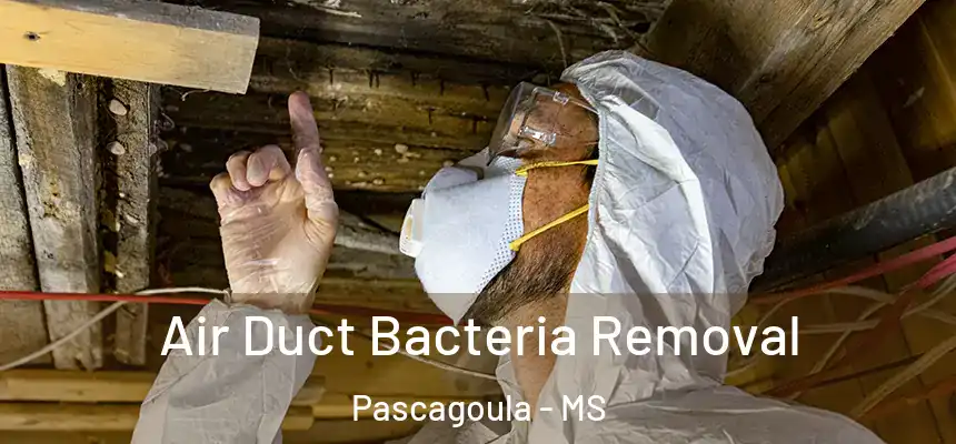 Air Duct Bacteria Removal Pascagoula - MS