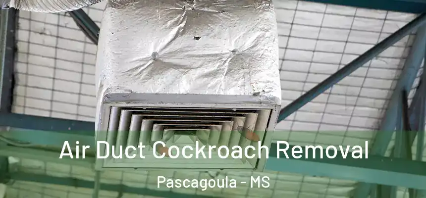 Air Duct Cockroach Removal Pascagoula - MS