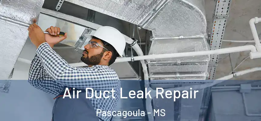  Air Duct Leak Repair Pascagoula - MS