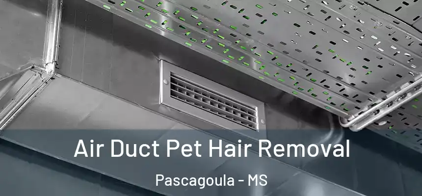  Air Duct Pet Hair Removal Pascagoula - MS