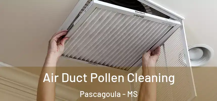 Air Duct Pollen Cleaning Pascagoula - MS