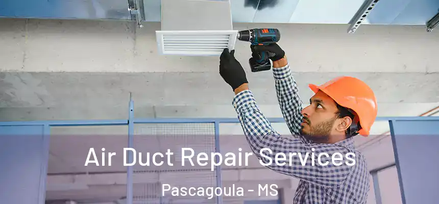  Air Duct Repair Services Pascagoula - MS