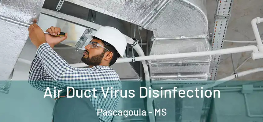  Air Duct Virus Disinfection Pascagoula - MS