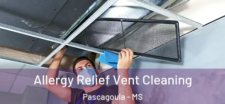  Allergy Relief Vent Cleaning Pascagoula - MS
