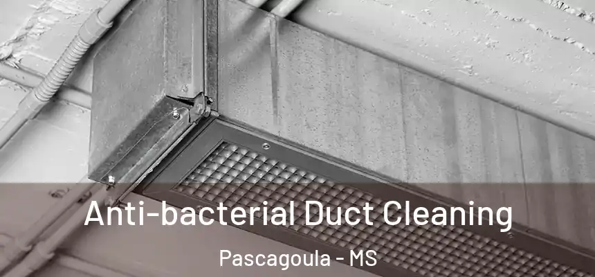 Anti-bacterial Duct Cleaning Pascagoula - MS