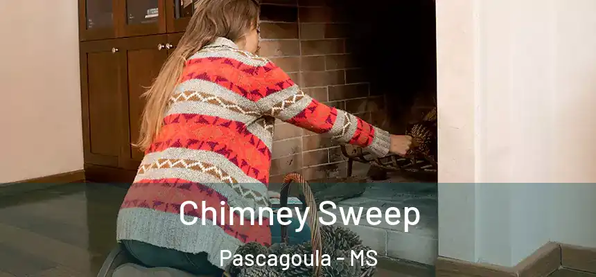  Chimney Sweep Pascagoula - MS