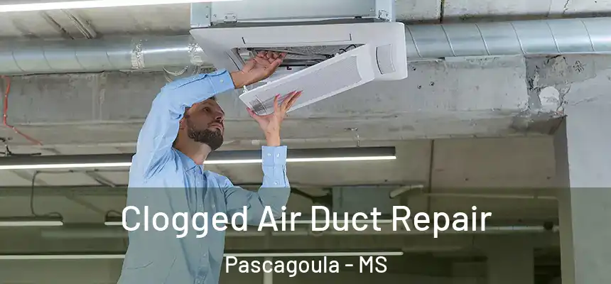  Clogged Air Duct Repair Pascagoula - MS