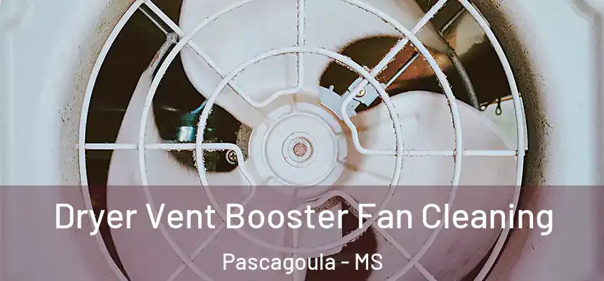 Dryer Vent Booster Fan Cleaning Pascagoula - MS