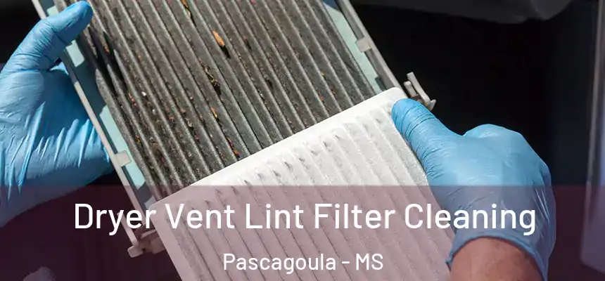 Dryer Vent Lint Filter Cleaning Pascagoula - MS