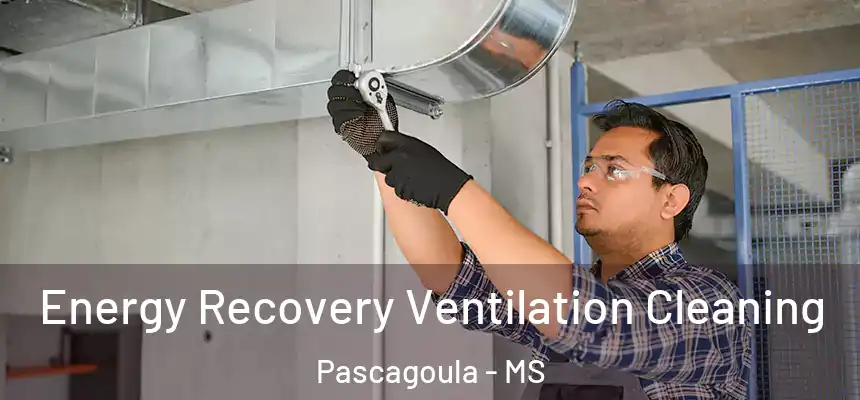 Energy Recovery Ventilation Cleaning Pascagoula - MS