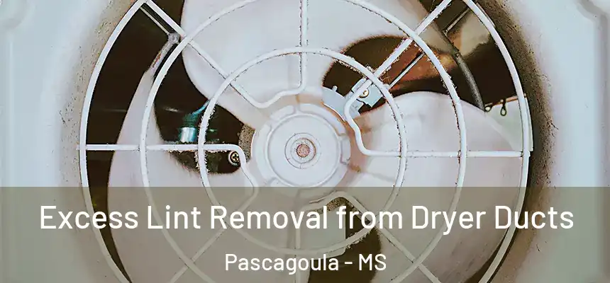 Excess Lint Removal from Dryer Ducts Pascagoula - MS
