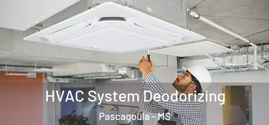 HVAC System Deodorizing Pascagoula - MS