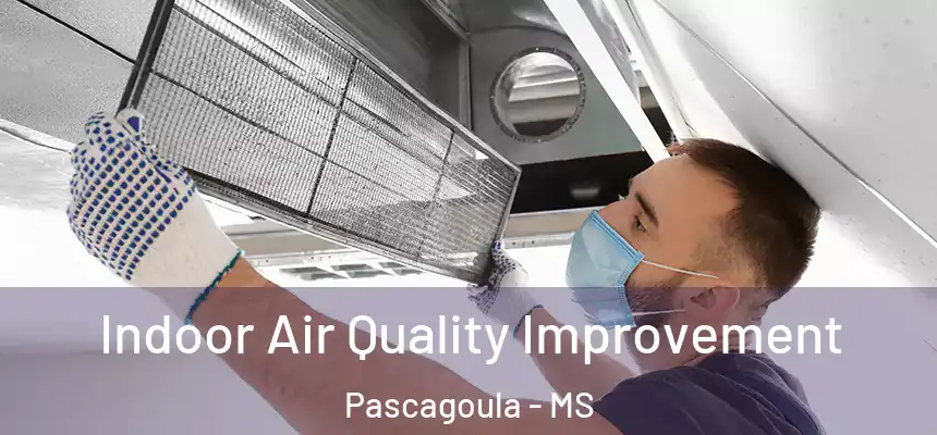 Indoor Air Quality Improvement Pascagoula - MS