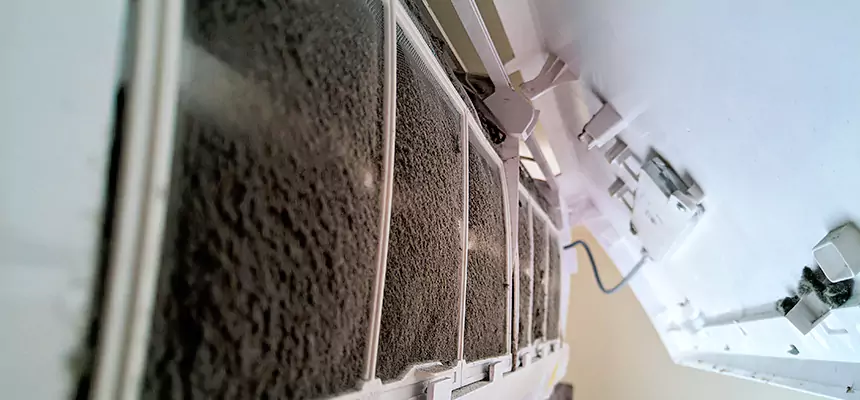 Preventive Air Duct Bacteria Removal in Pascagoula