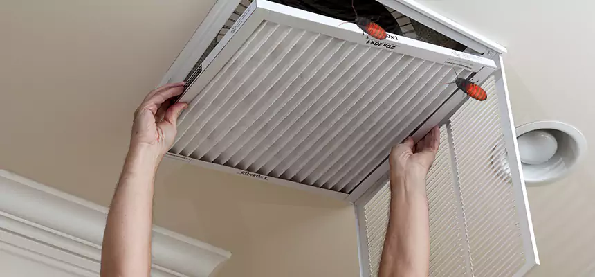 Preventive Cockroach-Proofing for Ducts in Pascagoula