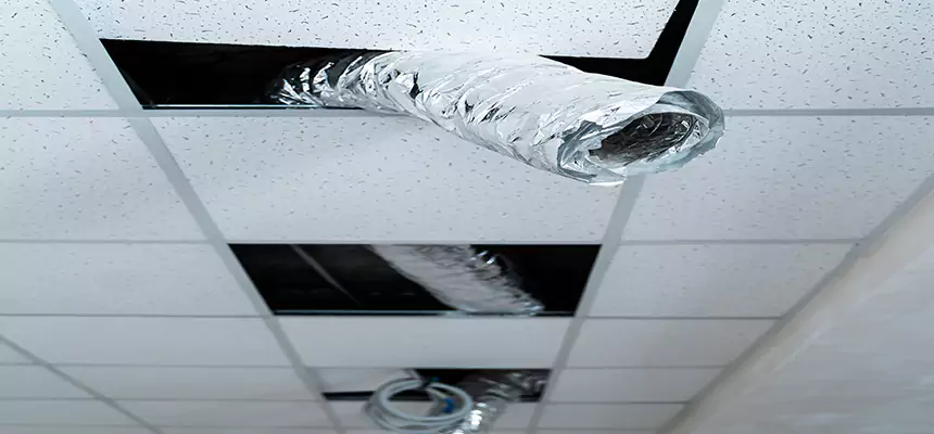 Affordable HVAC Sanitizing After Pest Removal in Pascagoula