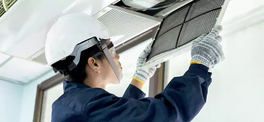 Our Mold & Mildew Removal from Air Ducts Services in Pascagoula, MS