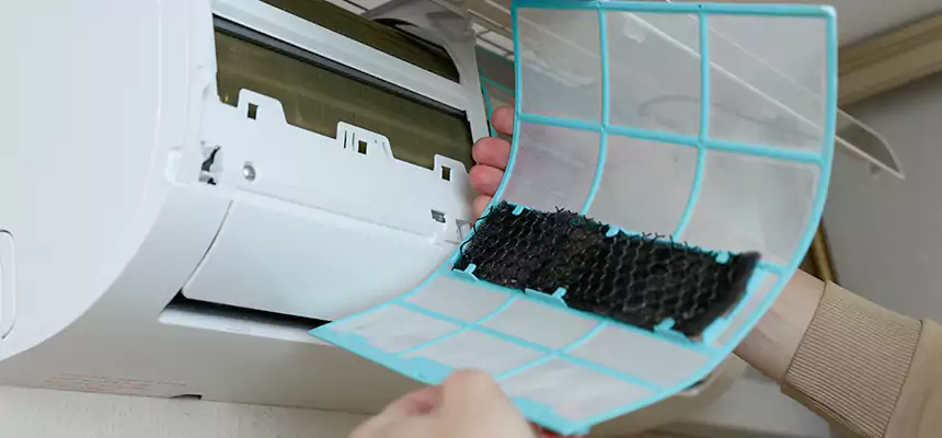 Gentle Ductwork Odor-Control Pet Dander Duct Cleaning in Pascagoula, MS