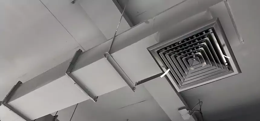 Our Rodent Droppings In Vents Services in Pascagoula, MS