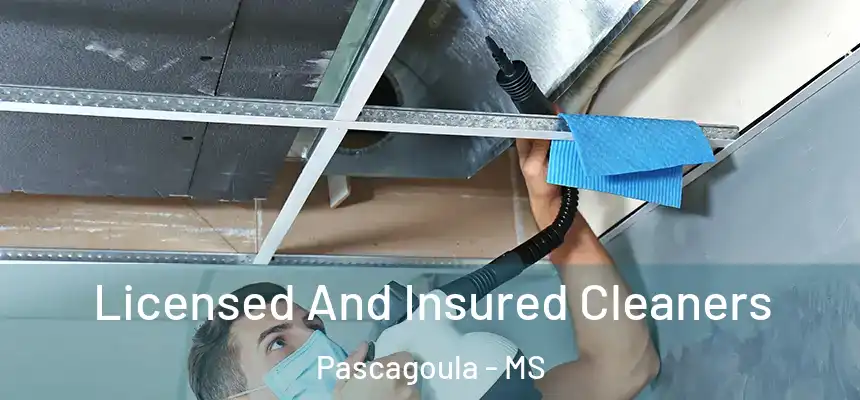 Licensed And Insured Cleaners Pascagoula - MS
