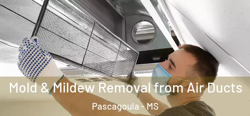 Mold & Mildew Removal from Air Ducts Pascagoula - MS
