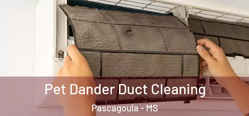  Pet Dander Duct Cleaning Pascagoula - MS