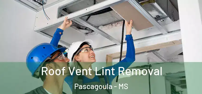 Roof Vent Lint Removal Pascagoula - MS