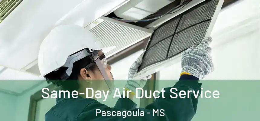 Same-Day Air Duct Service Pascagoula - MS