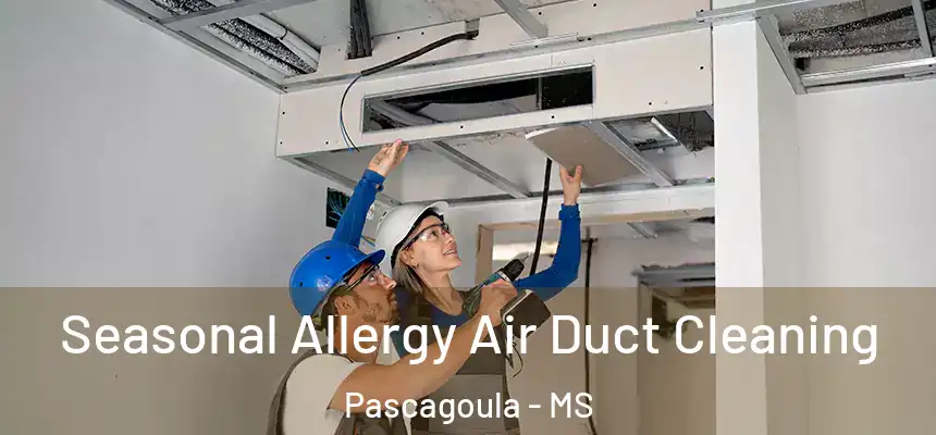 Seasonal Allergy Air Duct Cleaning Pascagoula - MS