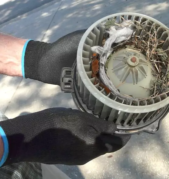 About Air Duct Rat Removal in Pascagoula, MS