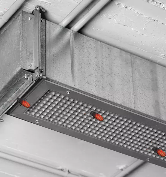 Affordable Insect Removal from Air Ducts in Pascagoula, MS