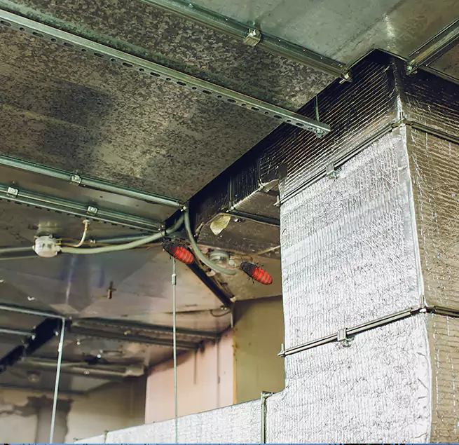 Why Homeowners & Businesses Trust Us in Pascagoula, MS?