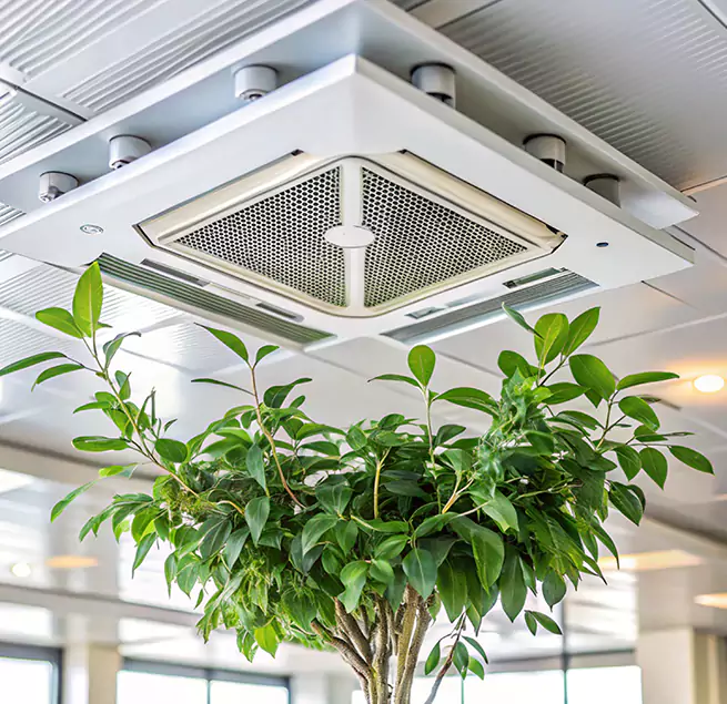 Why Homeowners & Businesses Trust Us in Pascagoula, MS?