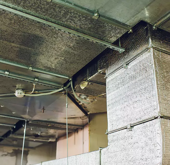 Why Homeowners & Businesses Trust Us in Pascagoula, MS?