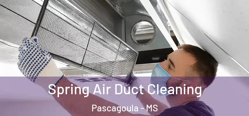  Spring Air Duct Cleaning Pascagoula - MS