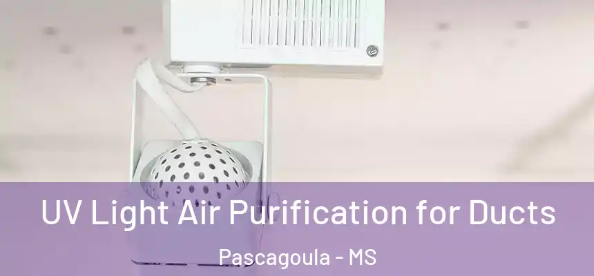  UV Light Air Purification for Ducts Pascagoula - MS