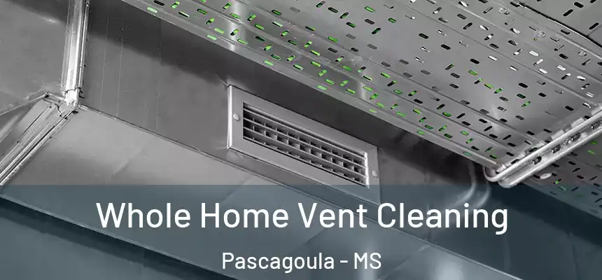 Whole Home Vent Cleaning Pascagoula - MS